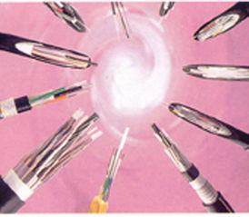 日辉电缆与阳谷电缆厂 聚焦光纤光缆的销售与服务